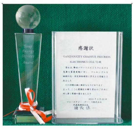 SONY��良供��商��(2011年)SONY Energy Device Award, 2011